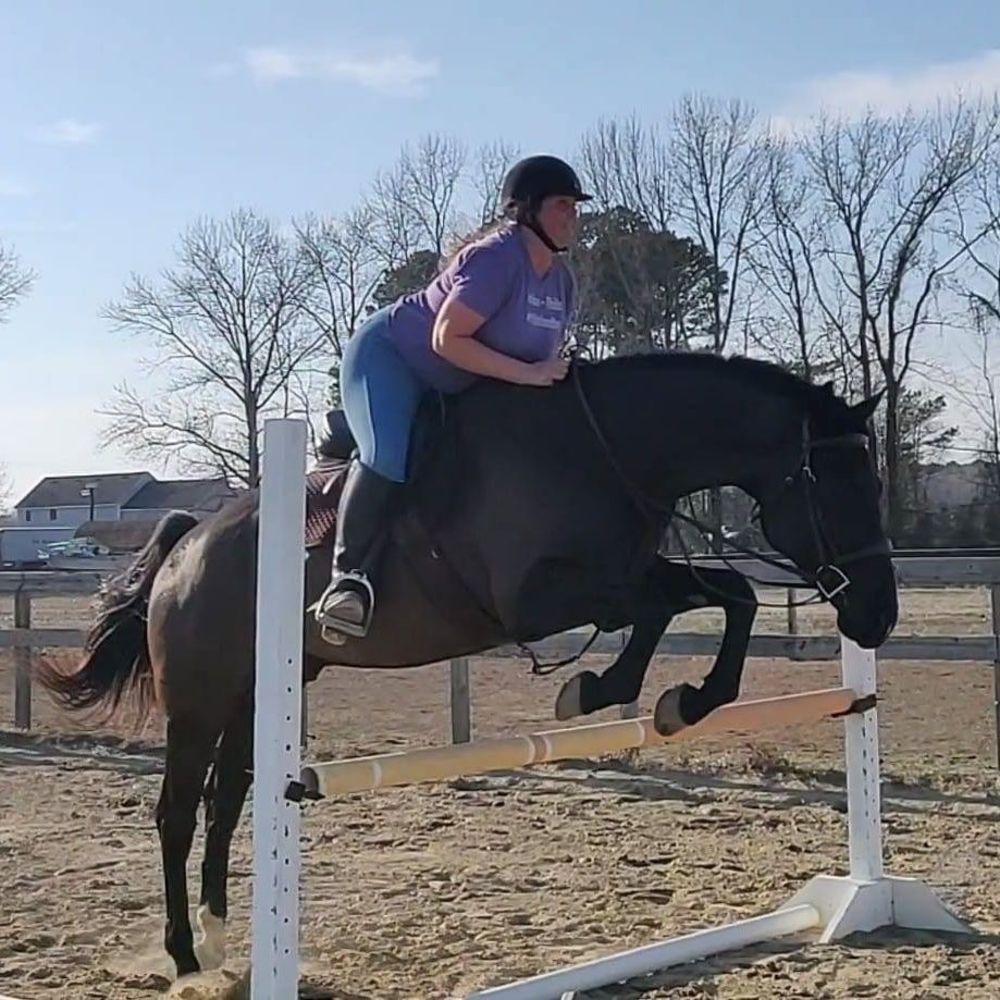 Meet your Posher, Holly